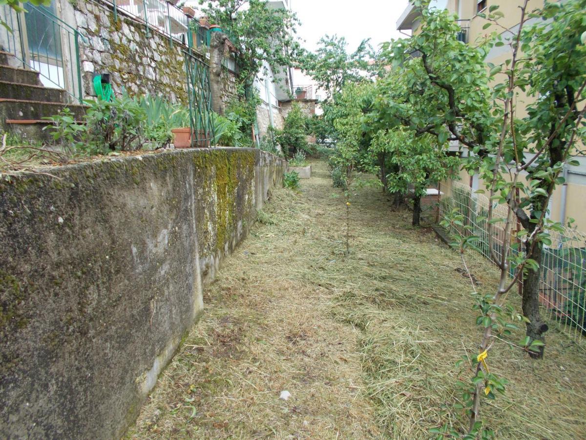 La Vecchia Locanda Кастельнуово-ди-Валь-ди-Чечина Экстерьер фото